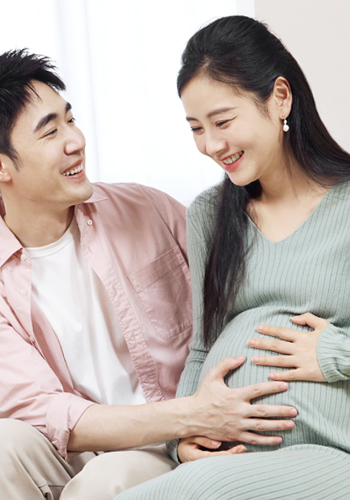 新加坡借卵公司