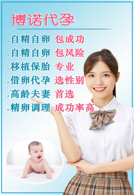新加坡借卵