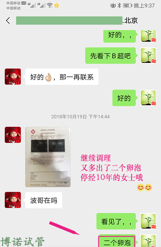 新加坡借卵公司.jpg