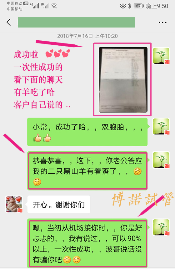 新加坡借卵成功率.jpg