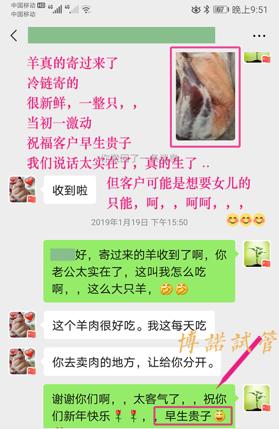 新加坡借卵费用.jpg