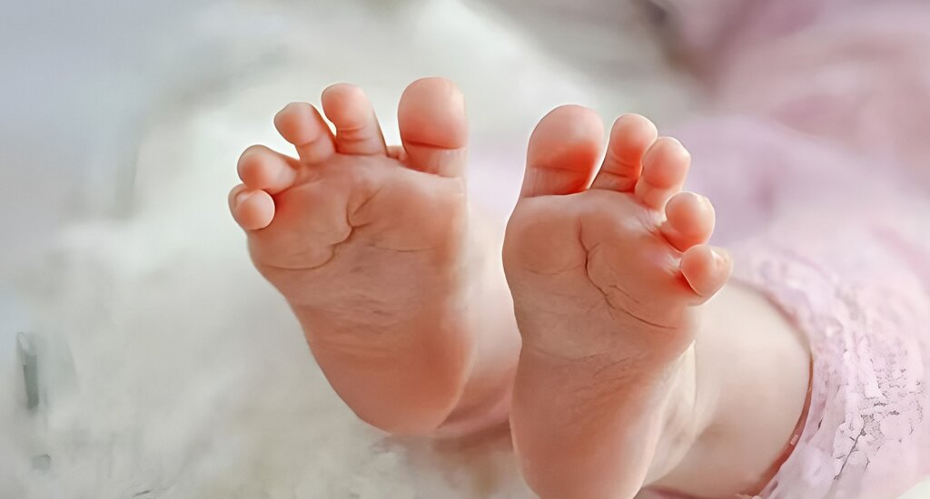 加拿大代孕机构：代孕机构助力女性实现愿望延续爱的传承